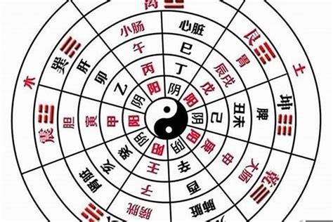 全阳八字|八字全阳与纯阳的区别，全阳和纯阳的区别之处